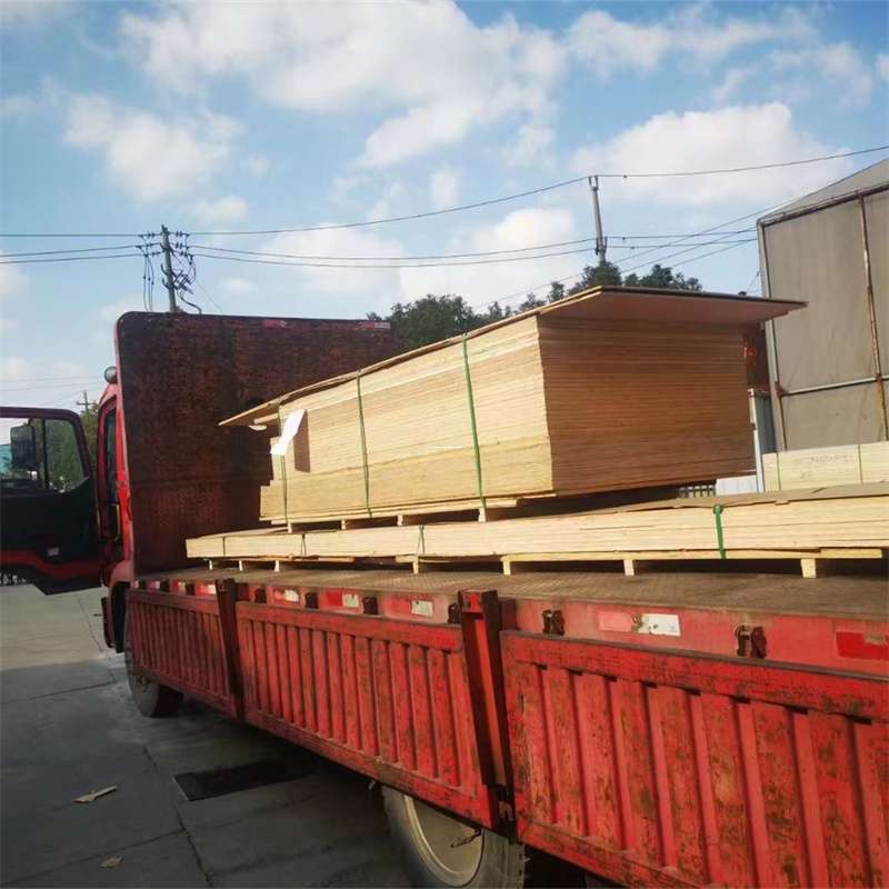 福建龙岩长汀县到河北物流公司——一站式服务，让货运更便捷